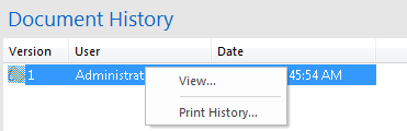 V_R_ViewingPanes_DocumentHistory_001