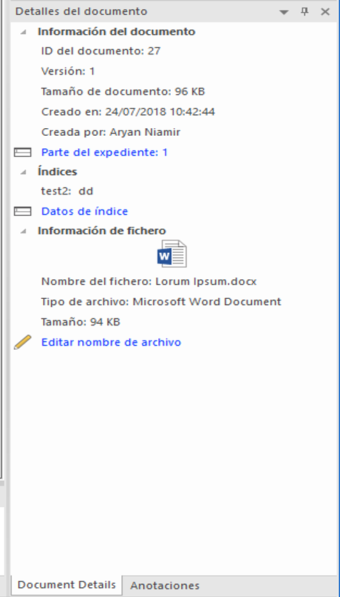 V_R_ViewingPanes_DocumentDetails_001