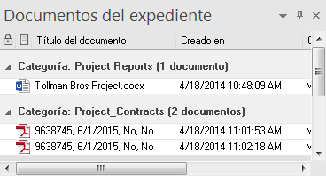 NV_R_UI_Panes_CaseDocuments_001