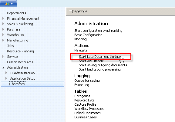 Figure 32: Successful creation of a link (Sales Invoice)