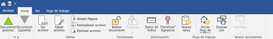 WV_R_RibbonMenus_Home_001
