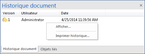 V_R_ViewingPanes_DocumentHistory_001