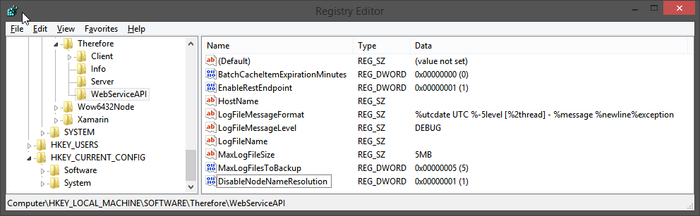 WebAPI.Settings.Registry Editor